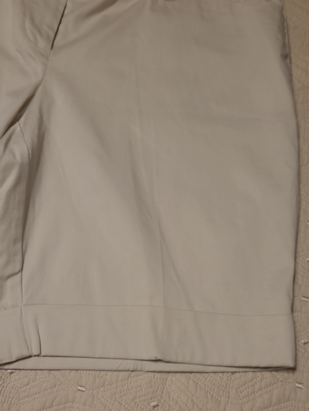 NWT The Limited Sexy Drew Classic Cotton Blend Shorts Size 12 - Picture 3 of 5